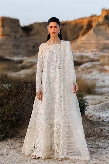 Off-White / Ivory Chikankari Embroidered Anarkali Dress Set